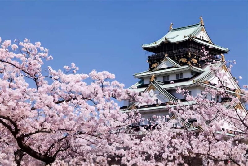 Osaka: Private Customizable Day Tour with Hotel Transfer - Pricing and Value Analysis