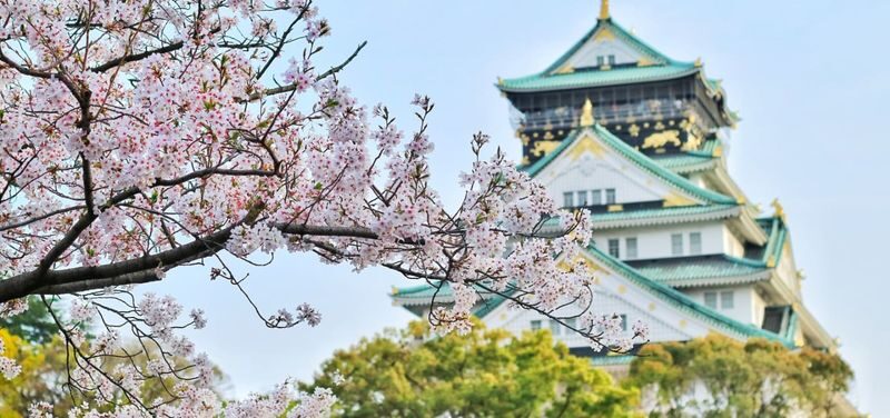 Osaka Private & Personalized City Highlights and Hidden Gems Tour - Start with the Osaka you want to see