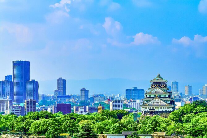 Osaka Private Tour for Shore Excursion - FAQ