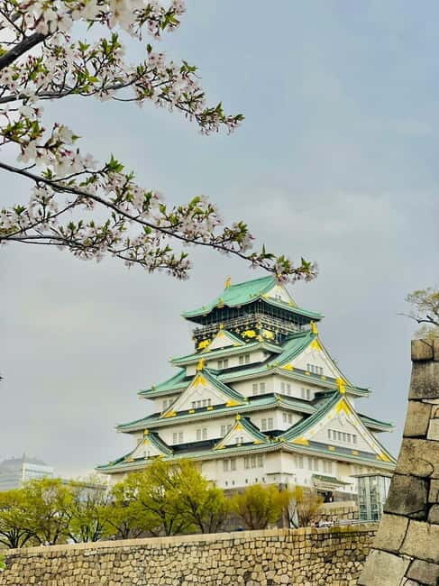 Osaka: Private Tour with English speaking Guide and pickup - Who Should Consider This Tour?