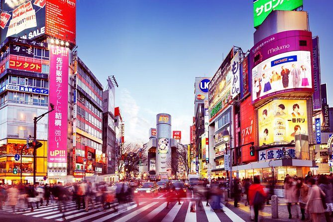 Osaka Private Transfer from Itami Airport (ITM) to central Osaka - Final Thoughts: Is This the Right Choice for You?