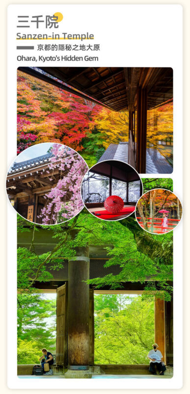 Osakas 4 Major Attractions: Lake Biwa & La Collina Day Trip - What the guides add