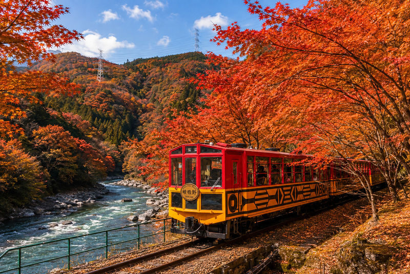 Osaka Sagano Romantic Train and Hozugawa River Cruise Day Tour - A day from Osaka, with Kyoto’s scenery in the frame