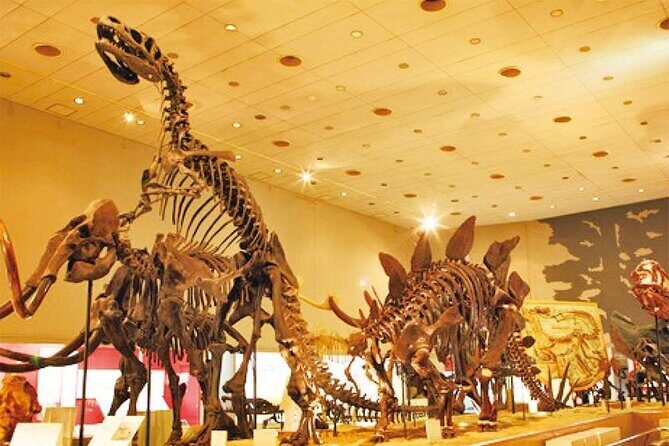 Osaka Subway and Attractions Pass - A Deep Dive into the Osaka Subway and Attractions Pass