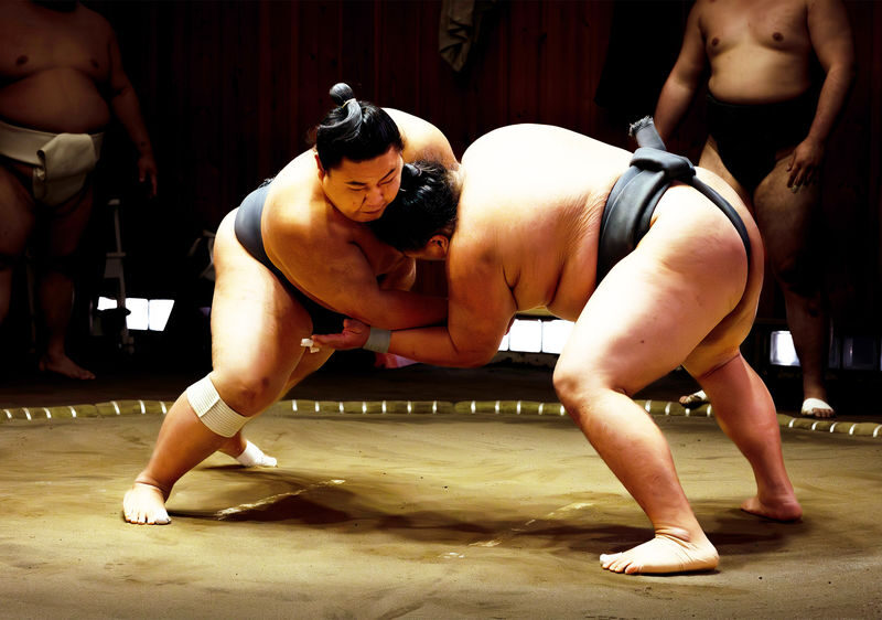 Osaka: Sumo Experience with Live Show & Audience Challenge - A sumo lesson, not just a wrestling show