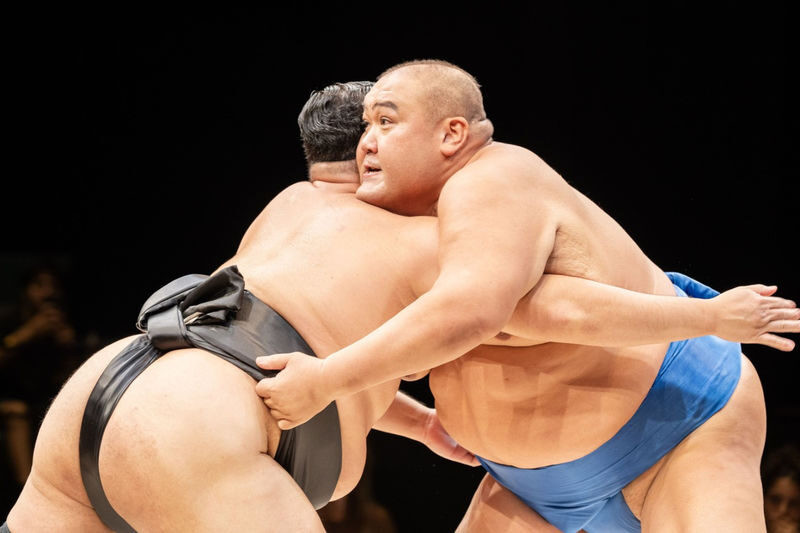 Osaka Sumo Show Experience with Food & Drinks - Is the ticket good value?