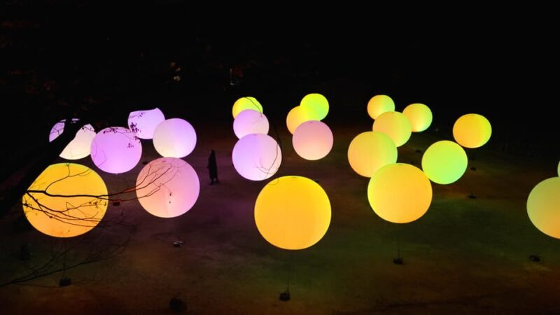 Osaka: teamLab Botanical Garden Entry Ticket - Practical Details and Tips