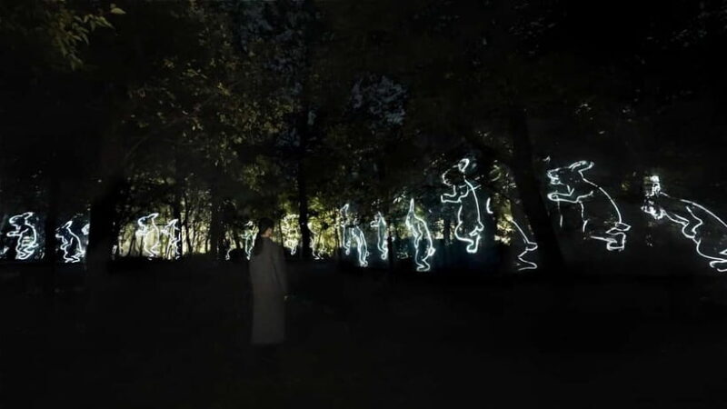 Osaka: teamLab Botanical Garden Entry Ticket - Authentic Visitor Experiences