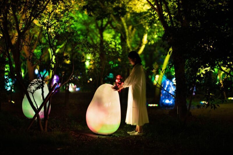 Osaka: teamLab Botanical Garden Entry Ticket - The Value for Money