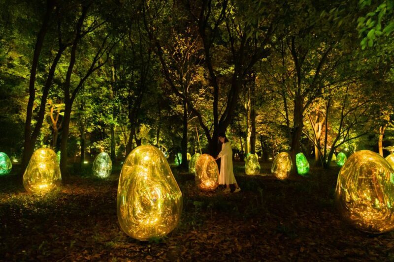 Osaka: teamLab Botanical Garden Entry Ticket - Who Should Consider This Tour?