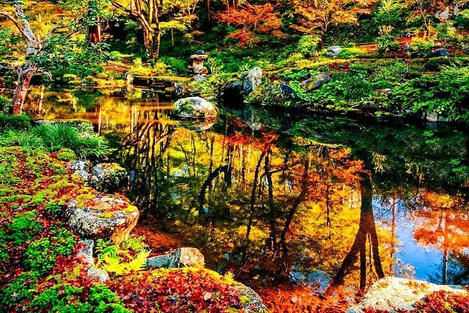 Osaka to Kyoto Arashiyama Bamboo Grove Small Group Tour - Who Will Love This Tour?