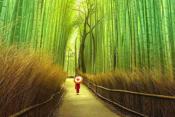 Osaka to Kyoto Arashiyama Bamboo Grove Small Group Tour - FAQs