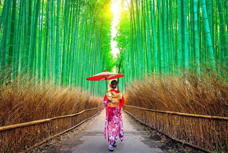 Osaka to Kyoto: Arashiyama Bamboo Grove Small Group Tour - Frequently Asked Questions