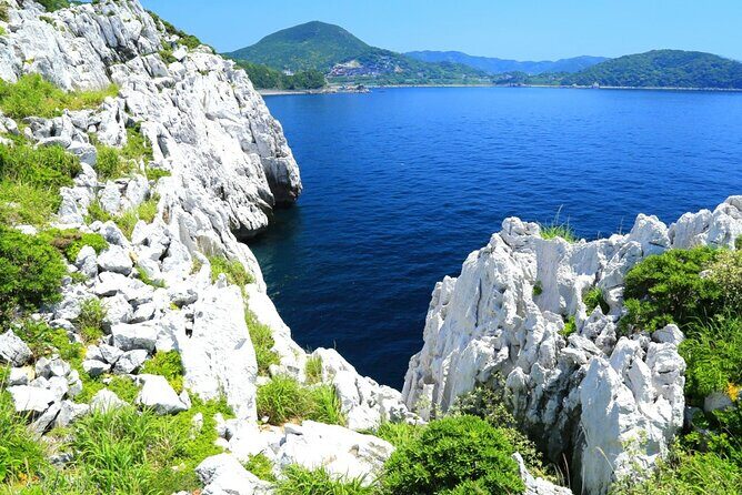 Osaka to Wakayama, Japan One-Day Chartered Tour - Key Points