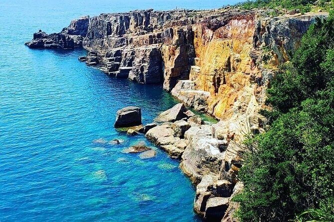 Osaka to Wakayama, Japan One-Day Chartered Tour - In-Depth Look at the Osaka to Wakayama Private Tour