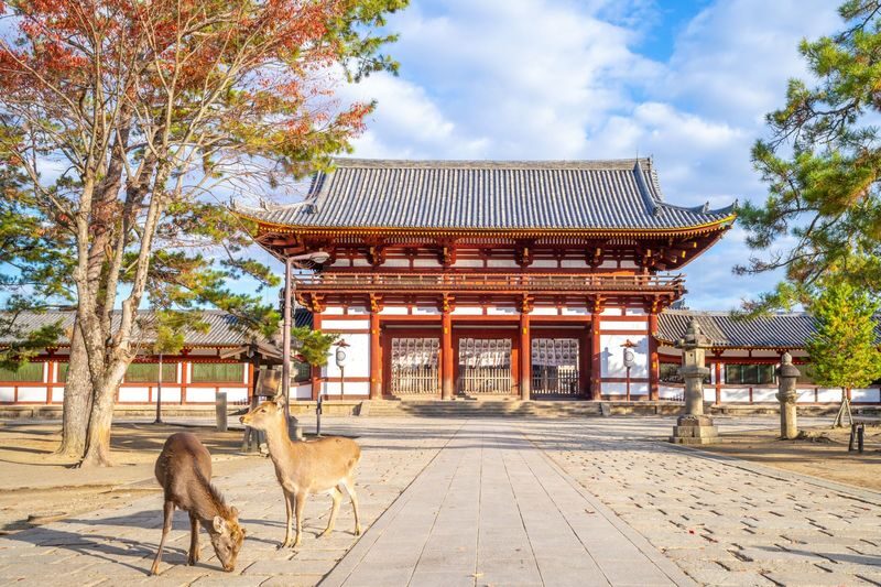 Osaka Todai-ji, Katsuo-ji, Arashiyama Full-Day Tour - The transport saves effort, but check your comfort expectations