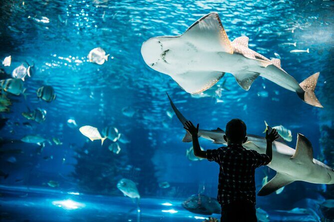 Osaka Unveiled: A Self-Guided Journey Through Japan's Kitchen - Final Thoughts