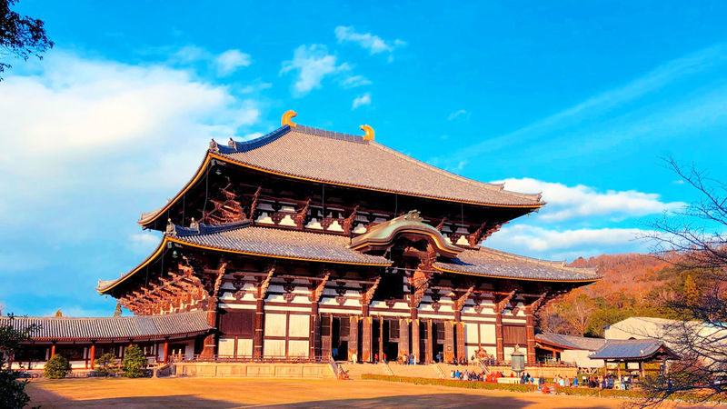 Osaka Wakakusa Mountain & Ikoma Sanjo Amusement Park Full-Day Tour - A guide makes the route easier to follow