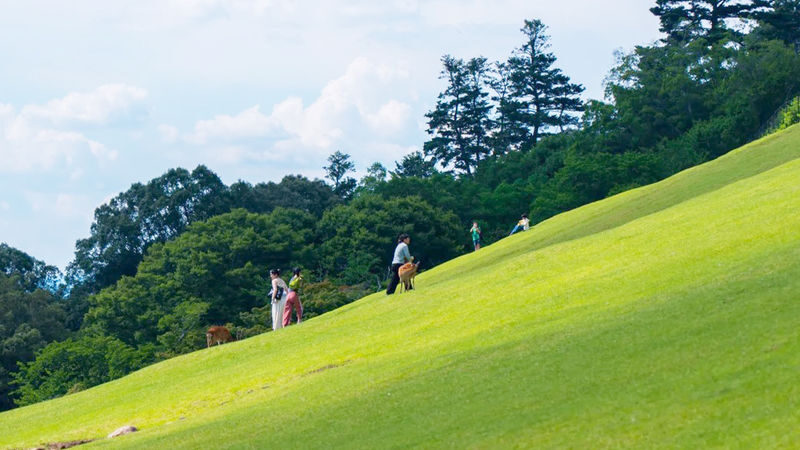 Osaka Wakakusa Mountain & Ikoma Sanjo Amusement Park Full-Day Tour - What the full-day format means for your plans