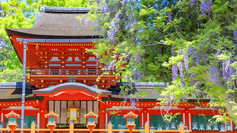 Osaka Wakakusa Mountain & Ikoma Sanjo Amusement Park Full-Day Tour - Is $47.35 good value?