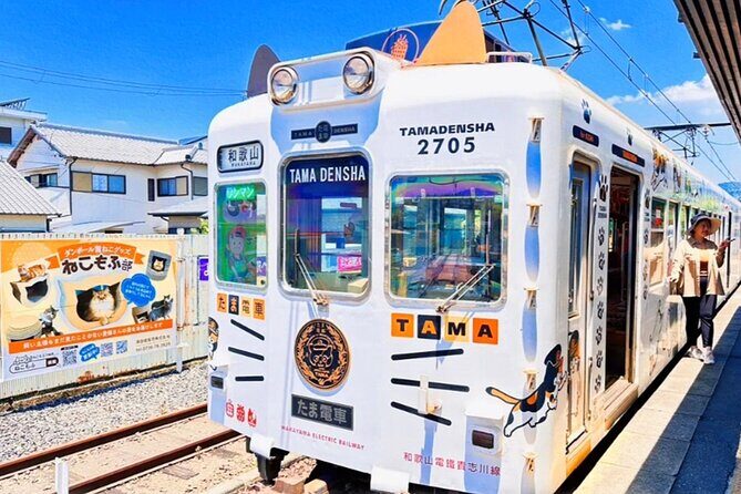 Osaka Wakayama Cat Train, Seafood market, Hot Springs Tour - Key Points