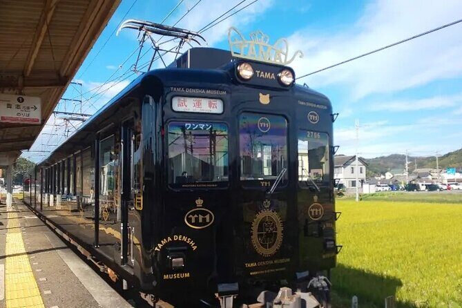 Osaka Wakayama Cat Train, Seafood market, Hot Springs Tour - The Seafood Market: Toretore Ichiba