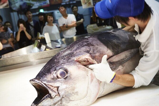 Osaka Wakayama Cat Train, Seafood market, Hot Springs Tour - Coastal Wonders: Senjojiki and Sandanbeki Cliffs