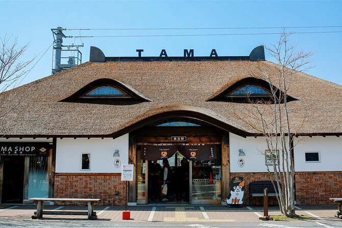 Osaka Wakayama Cat Train, Seafood market, Hot Springs Tour - Who Will Love This Tour?