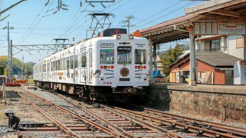 Osaka: Wakayama Cat Train, Seafood market, Hot Springs Tour - The Itinerary in Detail: From Osaka to Wakayama’s Hidden Gems