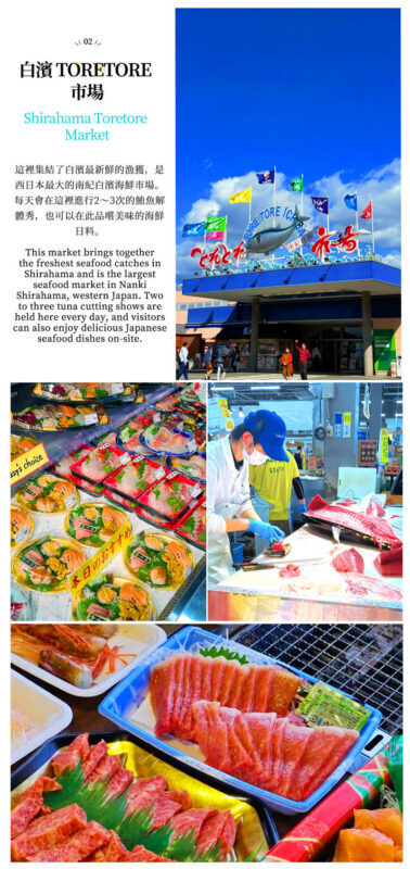 Osaka Wakayama Cat Train & Shirahama Market Day Tour - What the Cat Train adds to a Wakayama day