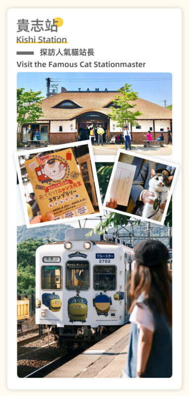 Osaka, Wakayama & Shirahama Coast Natural Scenery Day Tour - What the Long Bus Day Is Really Like