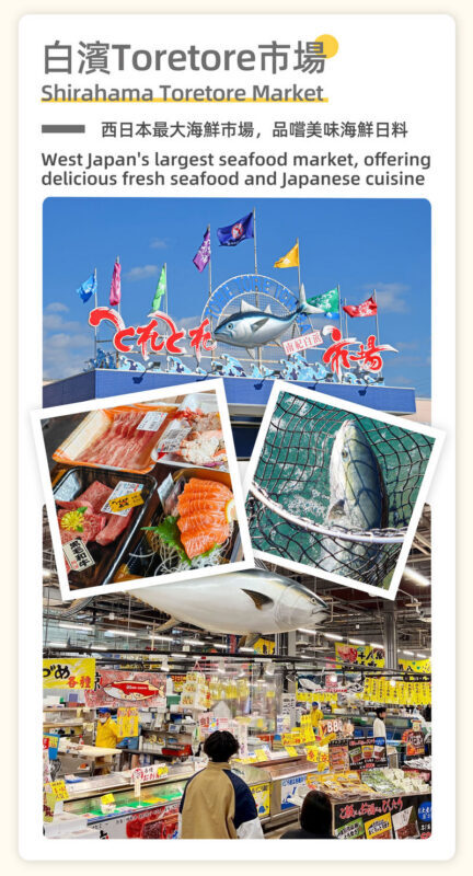Osaka, Wakayama & Shirahama Coast Natural Scenery Day Tour - Is the $50.55 Starting Price Good Value?