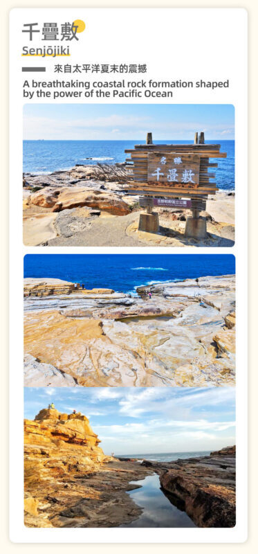 Osaka, Wakayama & Shirahama Coast Natural Scenery Day Tour - Should You Book?