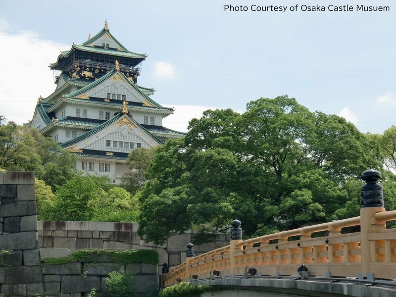 Osaka Walking Tour: Osaka Castle & River Cruise from Osaka or Kyoto - The guide and the group experience