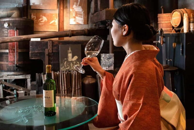 Osaka Winery Tour with Wine Tasting & Vineyard Walk - What to Expect From This Unique Day Trip