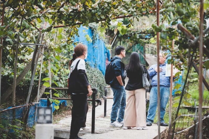 Osaka Winery Tour with Wine Tasting & Vineyard Walk - Authenticity and Local Flavor