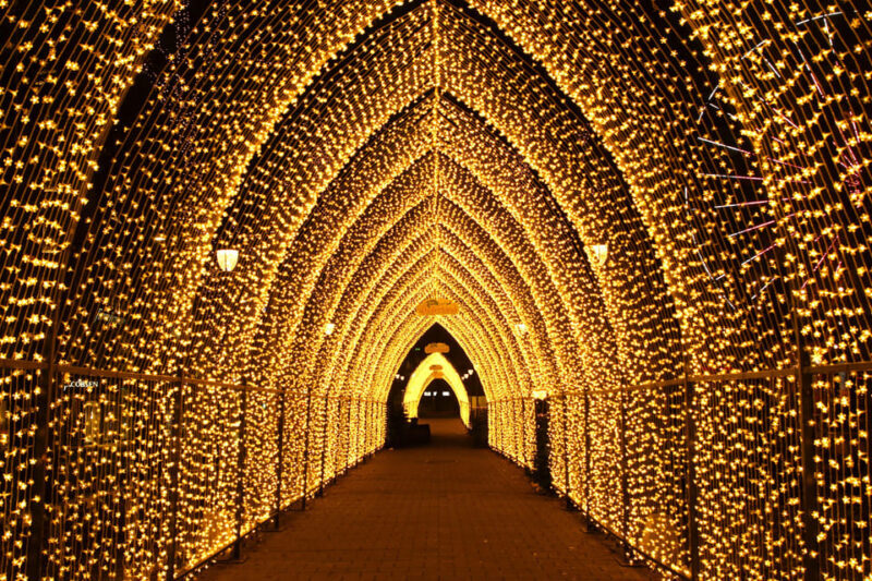Oslo: 2-hour Christmas Private Walking Tour - Exploring Oslo During the Holidays: A 2-Hour Christmas Private Walking Tour