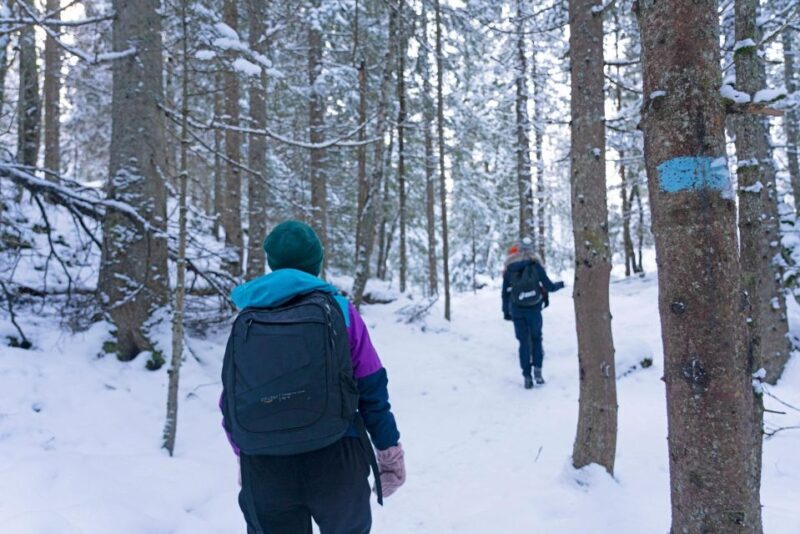 Oslo: Best View of the Oslofjord Winter Edition - Who Will Love This Tour?