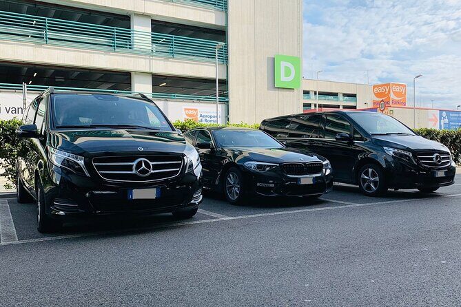 Oslo Cruise Port to Oslo Airport (OSL) - Departure Private Transfer - Who Should Consider This Service?