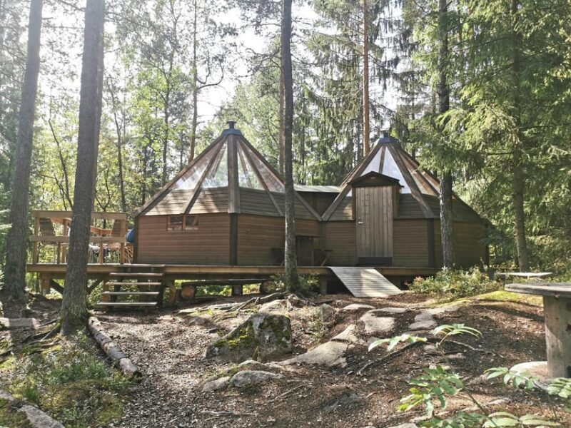 Oslo: Day ticket to Oslo's favourite Climbing Park - The Value of the Experience