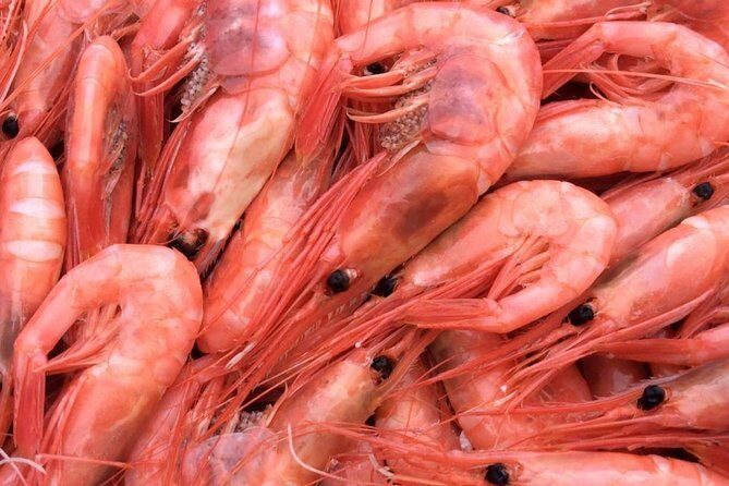 Oslo Fjord Evening Cruise with Shrimp Buffet on a Sailing Ship - FAQ