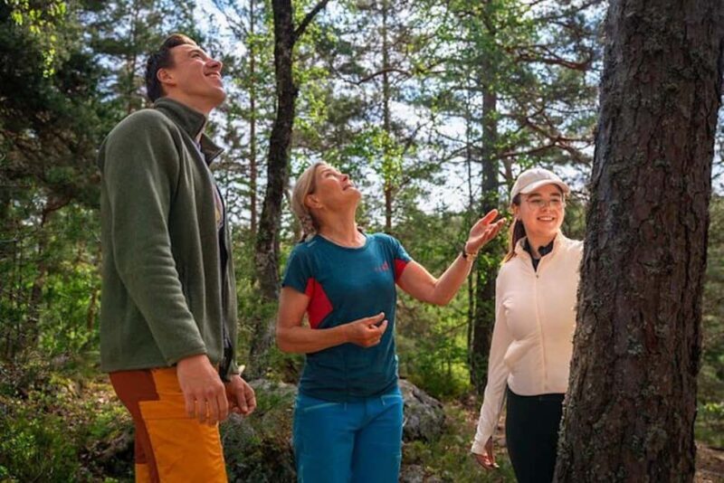 Oslo: Forest Hike with Guide & Husky - Exploring Oslo’s Forests with a Guide and Husky