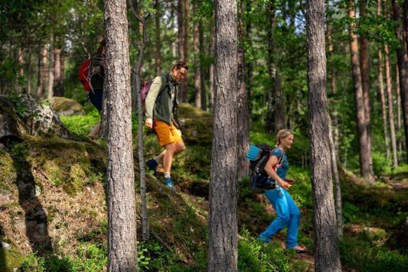 Oslo: Forest Hike with Guide & Husky - FAQ