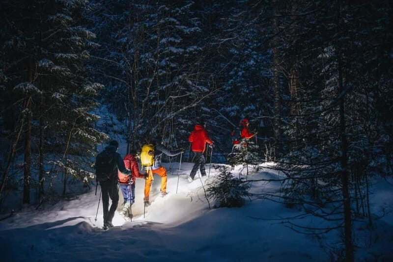 Oslo Forest: Private Mystery Nocturne Walk with Headlamps - Discovering the Magic of Oslo Forest at Night