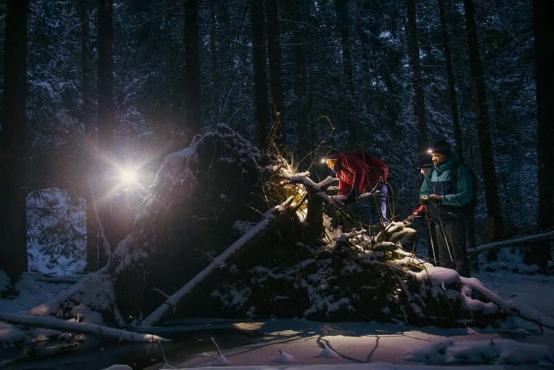 Oslo Forest: Private Mystery Nocturne Walk with Headlamps - The Practicalities and Value