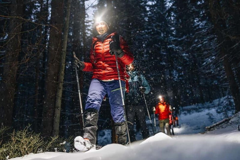 Oslo Forest: Private Mystery Nocturne Walk with Headlamps - FAQs