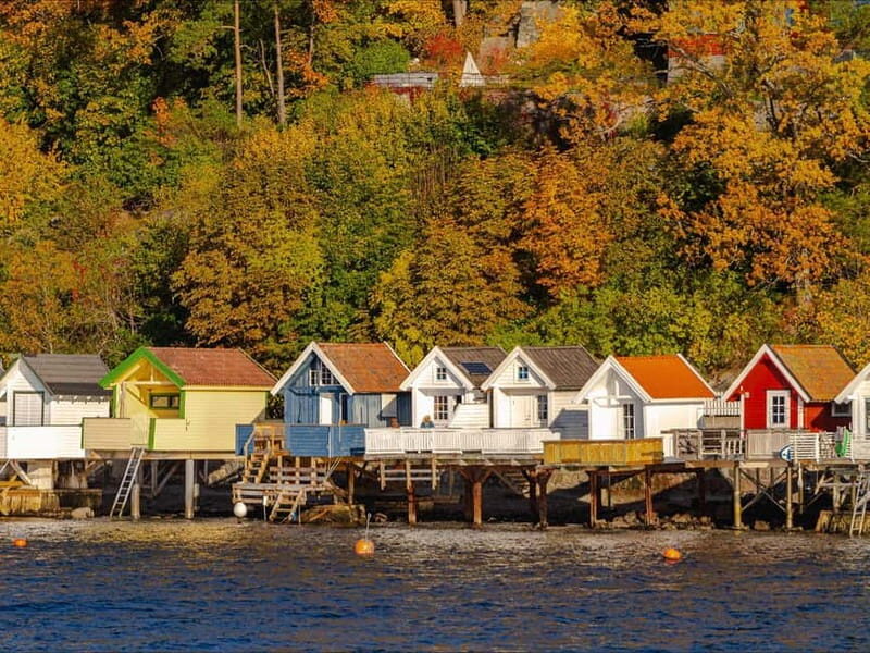 Oslo: Guided Sightseeing Fjord Cruise on Premium Silent Boat - Key Points