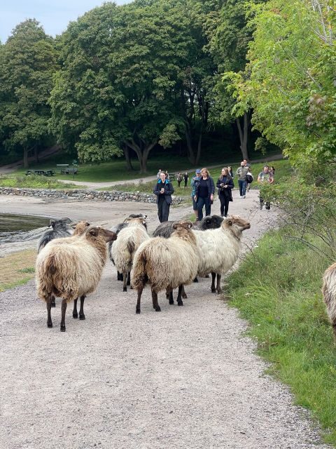 Oslo Island Walks: Island Hopping Tour - FAQ