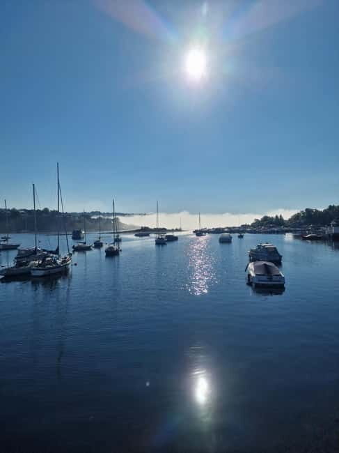 Oslo: Malmøya Island Guided Hike with Waffle and Drink - A Natural Escape Just Outside Oslo’s Bustle