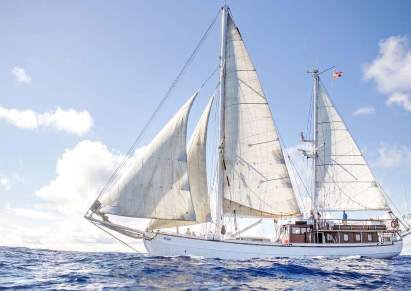 Oslo: Oslofjord Fjord-Style Dinner Cruise - FAQ